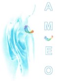 Logo AMEO_csm_ameo_ed8df0a867